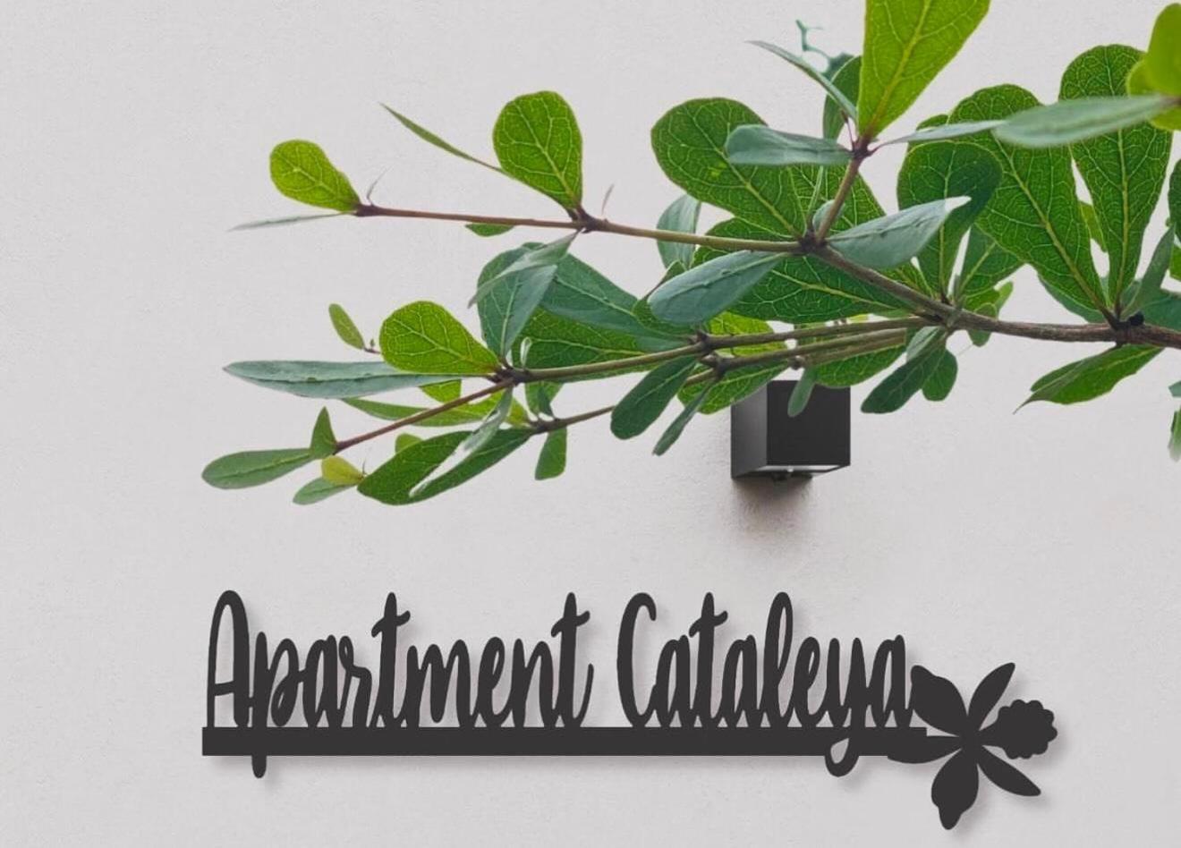 Cataleya Apartment *